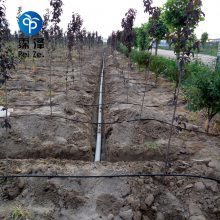 【果树滴灌灌溉果蔬节水产品图片】果树滴灌灌溉果蔬节水产品