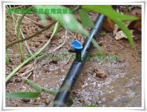 塑料外螺纹管用转换接头 园林园艺用具 滴灌喷灌微灌设备 农业图片,塑料外螺纹管用转换接头 园林园艺用具 滴灌喷灌微灌设备 农业图片大全,厦门华最灌溉设备科技-