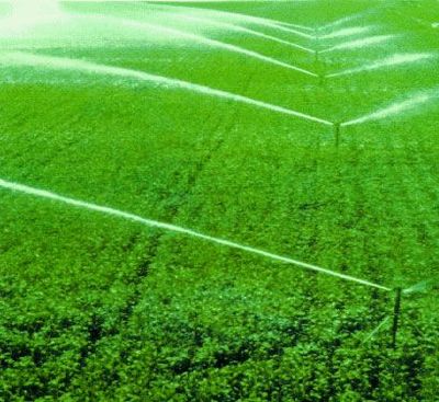 辽宁沈阳喷灌微灌、低压管灌、温室加温给水、蔬菜大棚、塑料大棚产品图片,辽宁沈阳喷灌微灌、低压管灌、温室加温给水、蔬菜大棚、塑料大棚产品相册 - 沈阳北方商务 - 九正