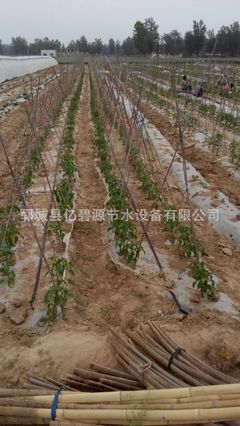 【直销】辽宁抚顺蔬菜滴灌带16M 大棚滴灌带 内嵌式滴灌 内嵌式贴片滴灌带