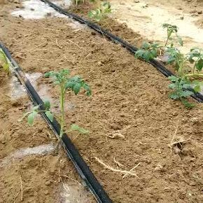 迷宫式滴灌带 滴灌产品我公司很全